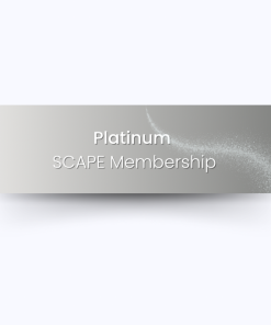 Platinum